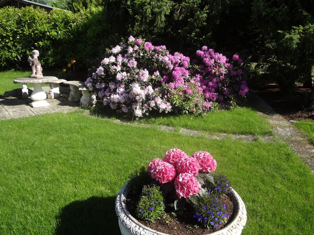 Gaestehaus Am Ahornweg Verbandsgemeinde Verbandsgemeinde Bernkastel-Kues Kamer foto